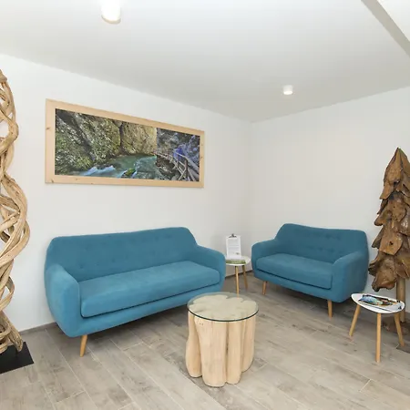 Alpina Guest house 3*