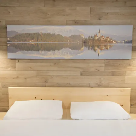 Alpina Guest house 3*