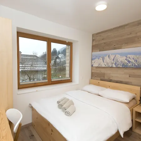 Alpina Guest house 3*