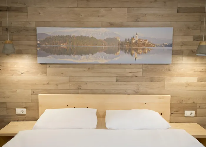 Alpina Gostinjska kuća 3*