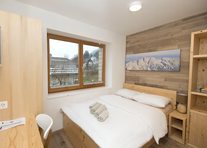 Alpina Gostinjska kuća 3*