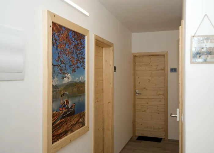 ゲストハウス Alpina 3*